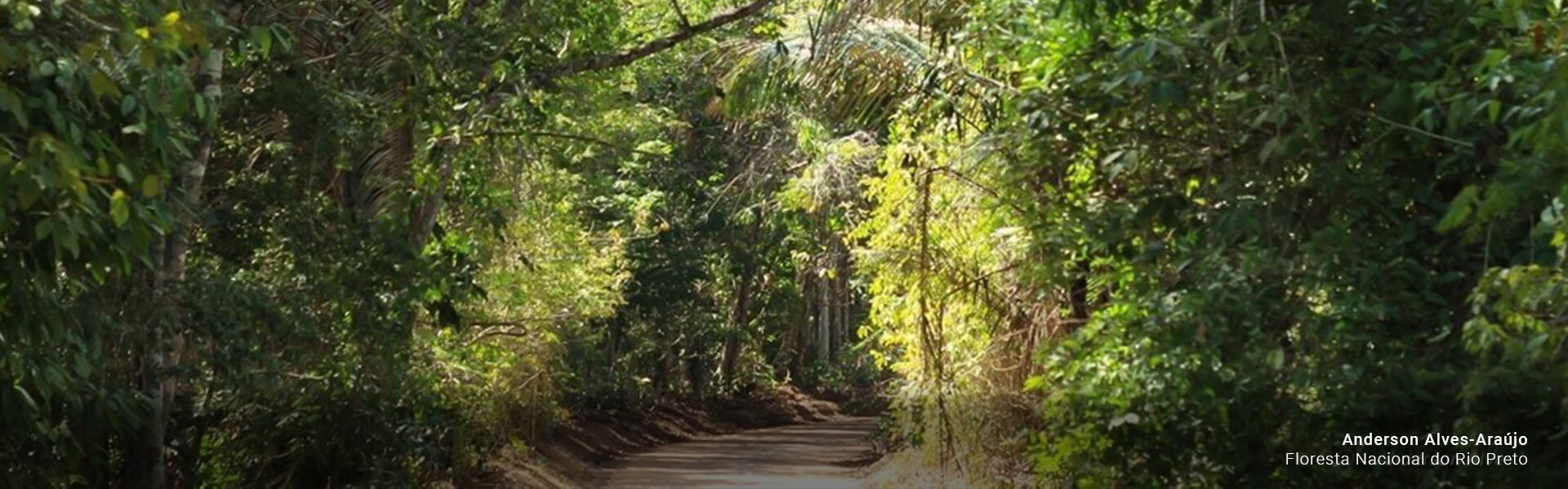 Floresta Nacional do Rio Preto