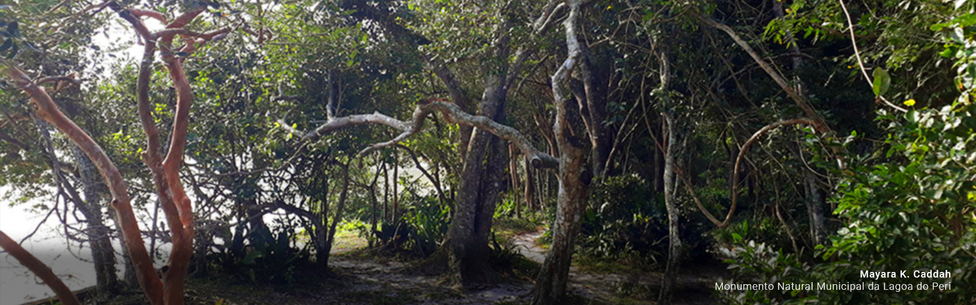 Monumento Natural da Lagoa do Peri
