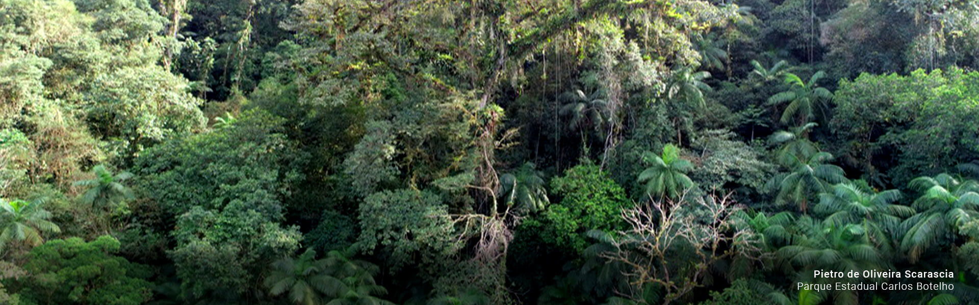 Parque Estadual Carlos Botelho