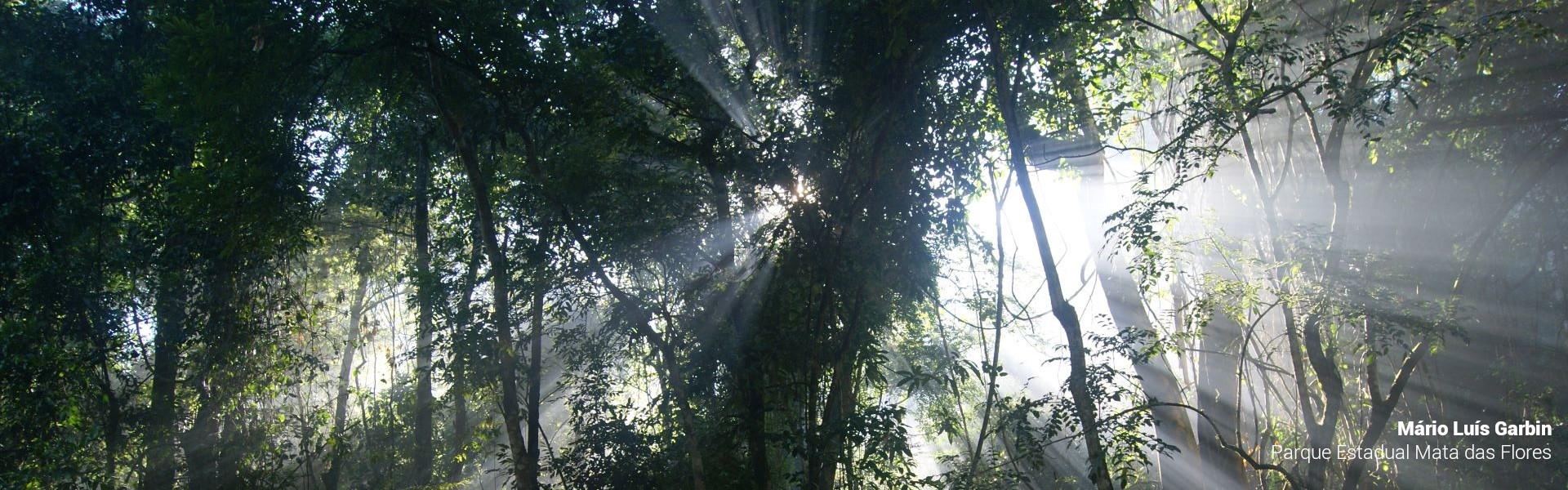 Parque Estadual Mata das Flores