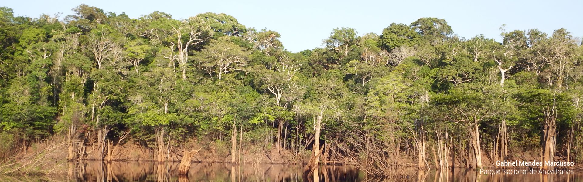 Parque Nacional de Anavilhanas