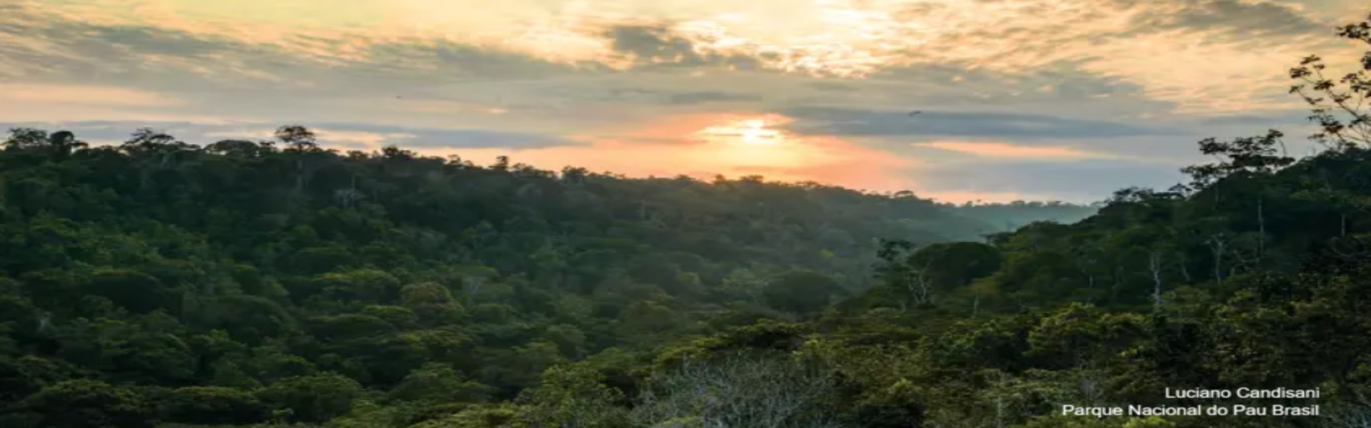 Parque Nacional do Pau Brasil