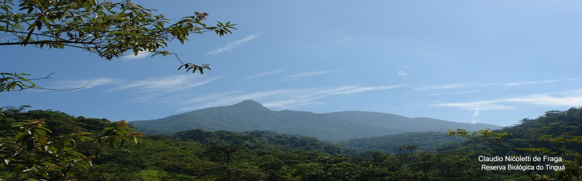 Reserva Biologica do Tingua